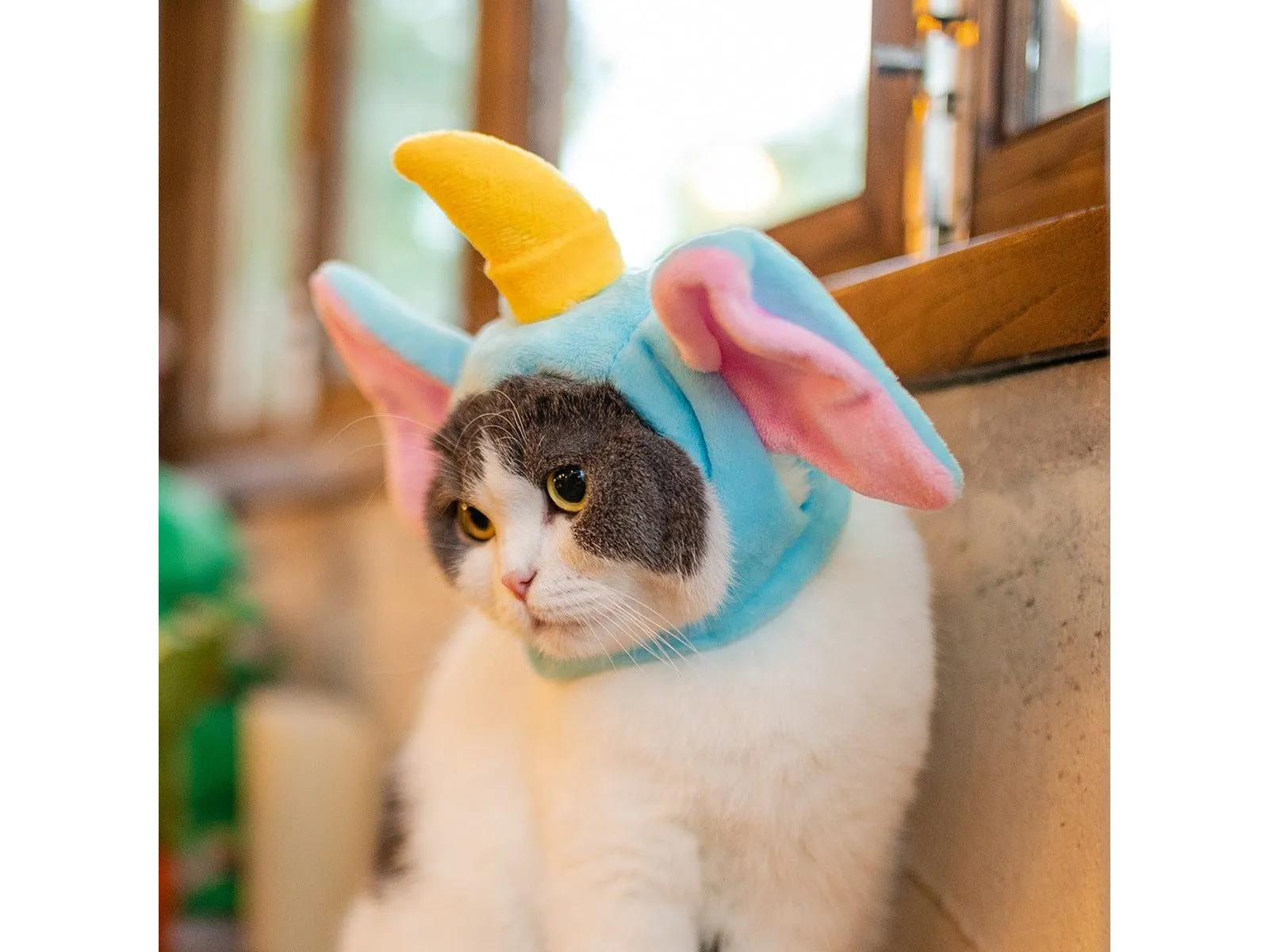 Cat Hat Elephant