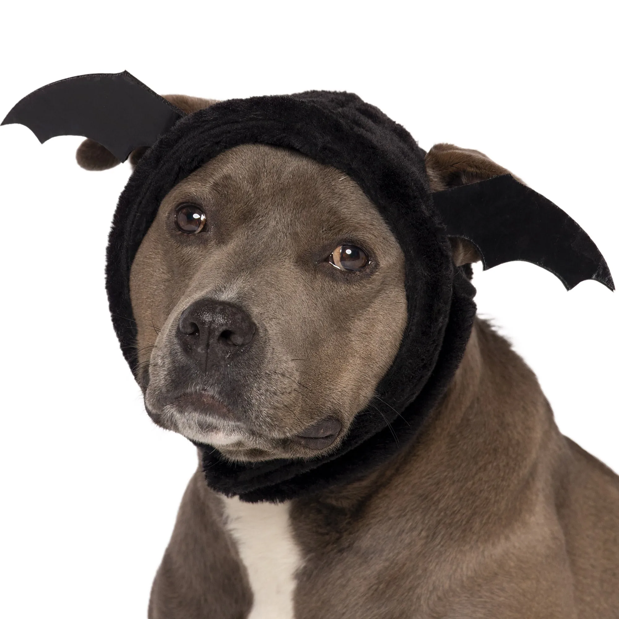 Flex-Fit Costume Hat (Coordinates with Flex-Fit Reversible Dog Coat)