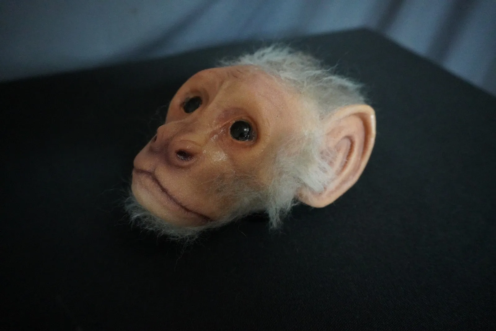 Furry Dura Monkey Head Prop