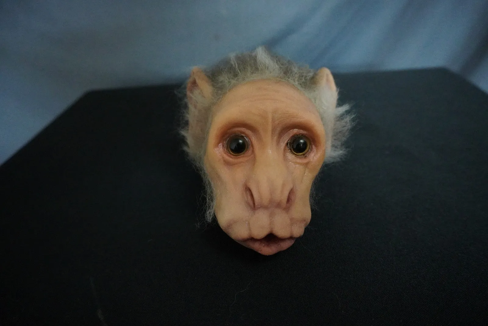 Furry Dura Monkey Head Prop