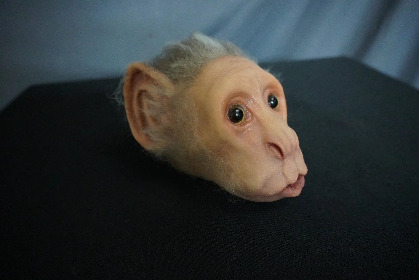 Furry Dura Monkey Head Prop