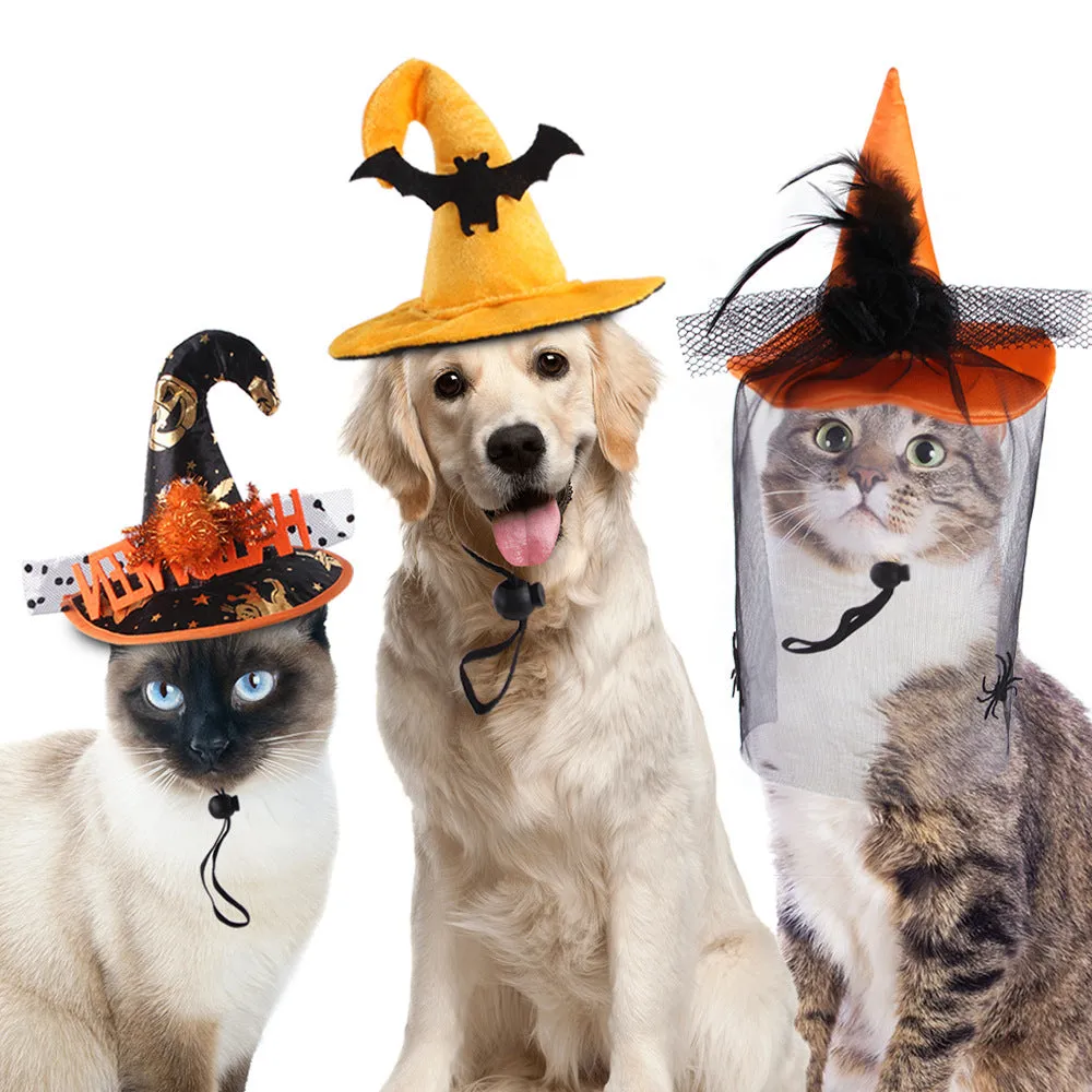 Halloween Pet Costume