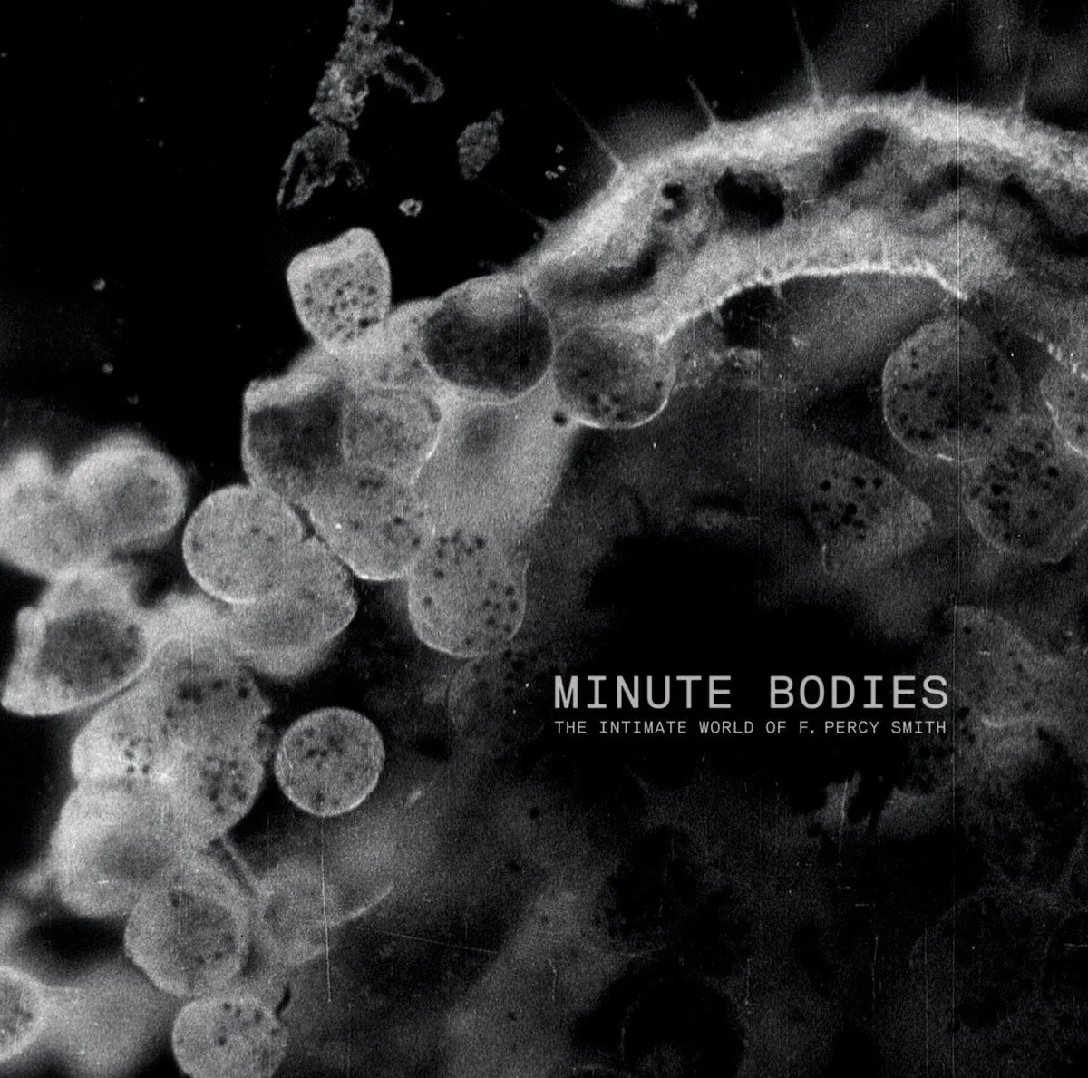 Minute Bodies CD/DVD