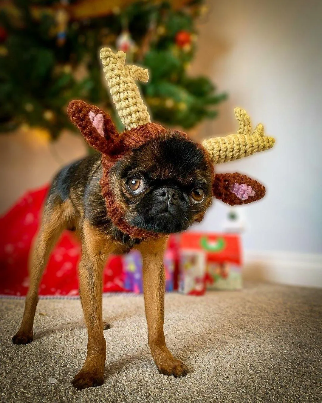 SNOOD - REINDEER