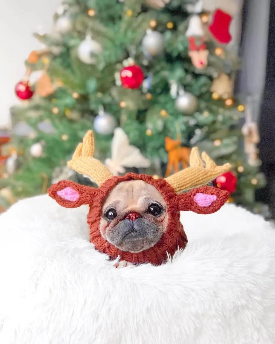 SNOOD - REINDEER